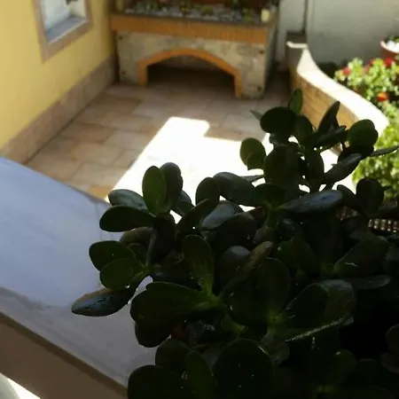 Kous Apartament Corfu (city)